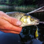 Тактика поиска рыбы в феврале — экспертное мнение