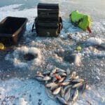 Неожиданный улов: рыбаки нашли трофейную рыбу на дикой реке