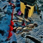 Календарь рыболова на март 2025: лучшие дни и какая рыба клюет