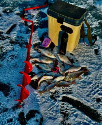 Несподіваний улов: рибалки знайшли трофейну рибу на дикій річці