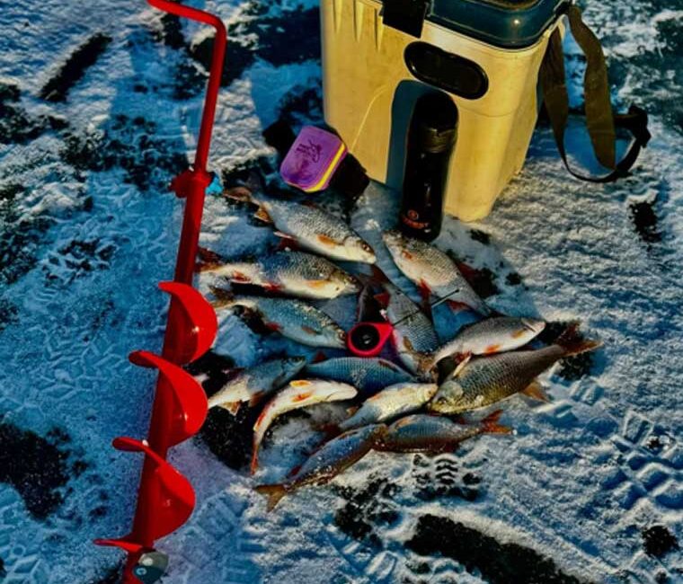 Несподіваний улов: рибалки знайшли трофейну рибу на дикій річці