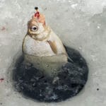 Календарь рыболова на март 2025: лучшие дни и какая рыба клюет