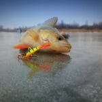 Размер мормышки решает всё: как выбрать идеальный вариант