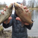 Crazy Fish Crayfish: рачок, который ловит — полный обзор