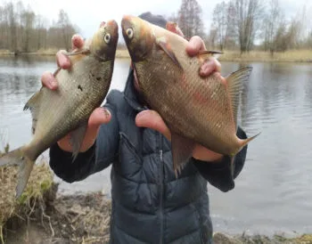 Как поймать леща в марте: секреты весенней рыбалки