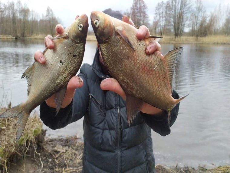 Как поймать леща в марте: секреты весенней рыбалки