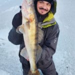 Crazy Fish Crayfish: рачок, который ловит — полный обзор