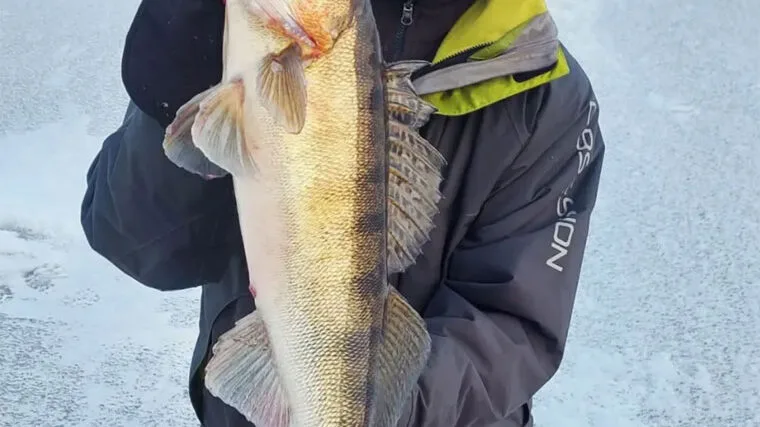 Лід, судак і мораль: як рибалка розніс блогерів і любителів халяви