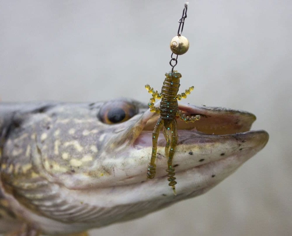 Силикон Crazy Fish Crayfish: Тест на воде и честное мнение