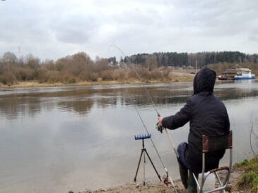 Як правильно налаштувати фідер для лову карася навесні?