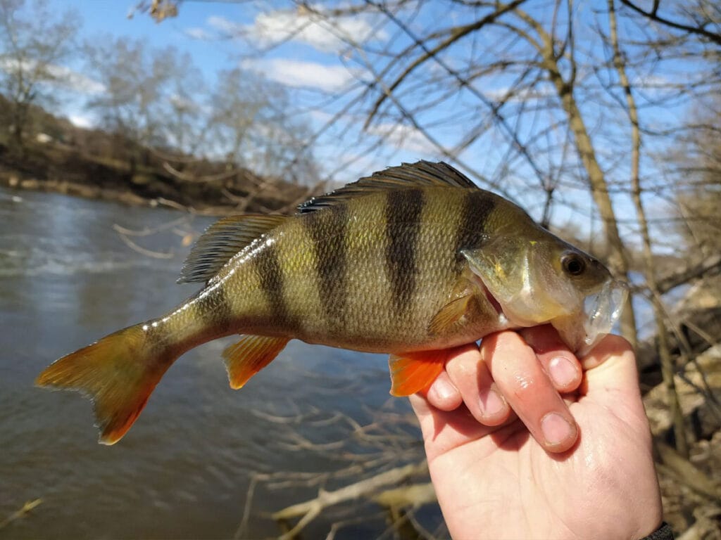 Погода в марте 2025: тепло, качели и немного дождя