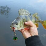 Прогноз погоды на март: рыбаки, готовьте удочки, месяц удивит погодой!