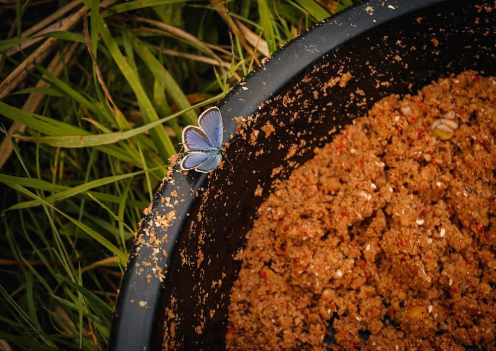 Прикормка для ляща: як зібрати суміш і не злякати рибу навесні