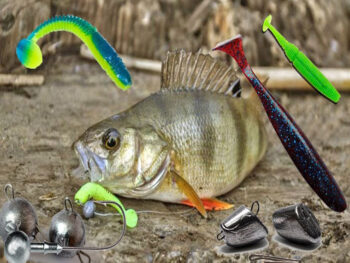 Найкращі приманки на окуня навесні, які не залишать рибі шансів