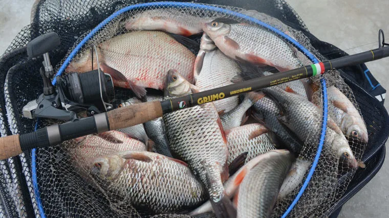 Эксперт по фидерной ловле: тонкости весеннего сезона