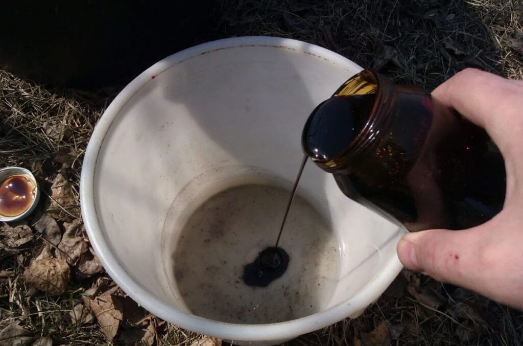 Що таке меляса і чому вона цікава рибі?