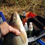 Карп в холодной воде: какой монтаж в марте не оставит ему шансов?