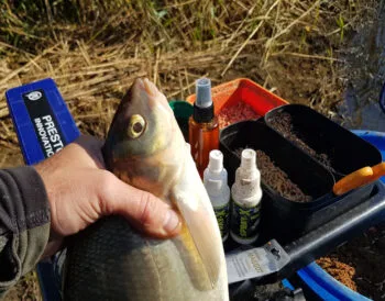 Підгодовування для ляща: додайте це і здивуєтеся улову