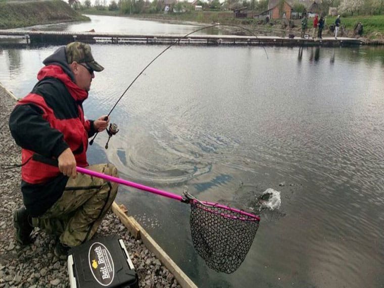 «Аквамарин": форель та осетер у Некрасовому