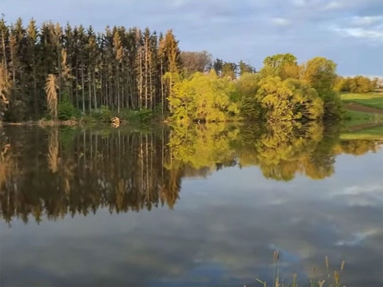 Ставок в Переорках: доступная классика