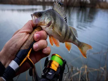 Календарь рыбака на апрель 2025: лучшие дни, какая рыба клюет