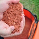 Прогноз клева рыбы на 100%: следите за этим природным сигналом, чтобы не уйти с пустыми руками