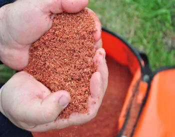 Як змусити карася клювати