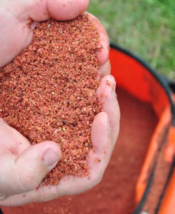 Як змусити карася клювати