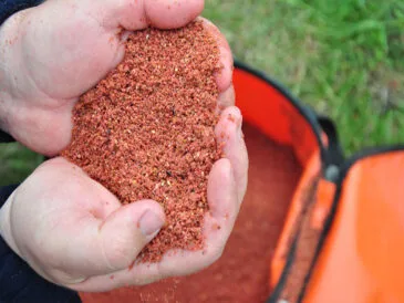 Як змусити карася клювати