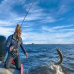 Карась на гачку без осічок: засипте це в підгодовування – і риба сама полізе в садок