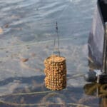 Прогноз клева рыбы на 100%: следите за этим природным сигналом, чтобы не уйти с пустыми руками