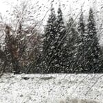 Клев окуня в апреле 2025: где искать хищника на Днепре