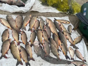 Браконьєра на Дніпрі спіймали з півцентнера риби: що йому загрожує?