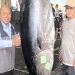 Как выбрать снасть на леща весной: рекомендации и бюджетные варианты