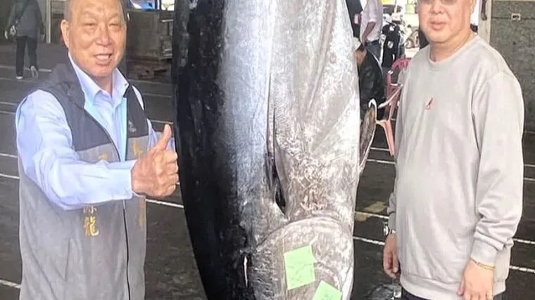 Риба ціною в мільйони: улов тайванця шокував рибалок