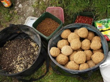 Секрети прикормки від експертів