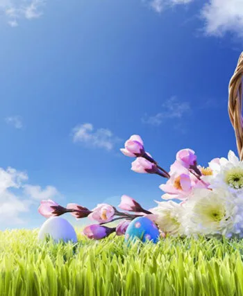 Весняне потепління: як погода вплине на клювання перед Великоднем