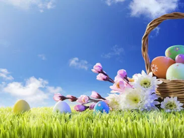 Весняне потепління: як погода вплине на клювання перед Великоднем