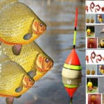 Бюджетные фидерные удилища Flagman до 1500 гривен