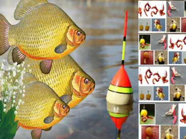 Календар рибалки 2025: секрети лову карася у квітні