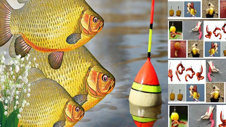 Календар рибалки 2025: секрети лову карася у квітні