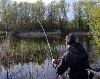 Календар рибалки на травень 2025: коли і де клює найкраще