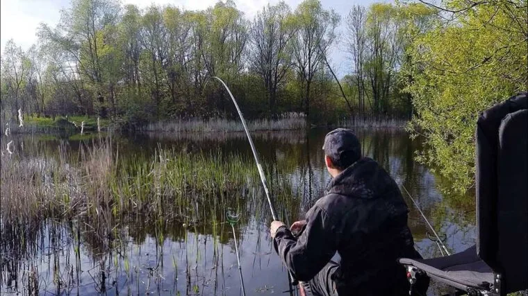 Календар рибалки на травень 2025: коли і де клює найкраще