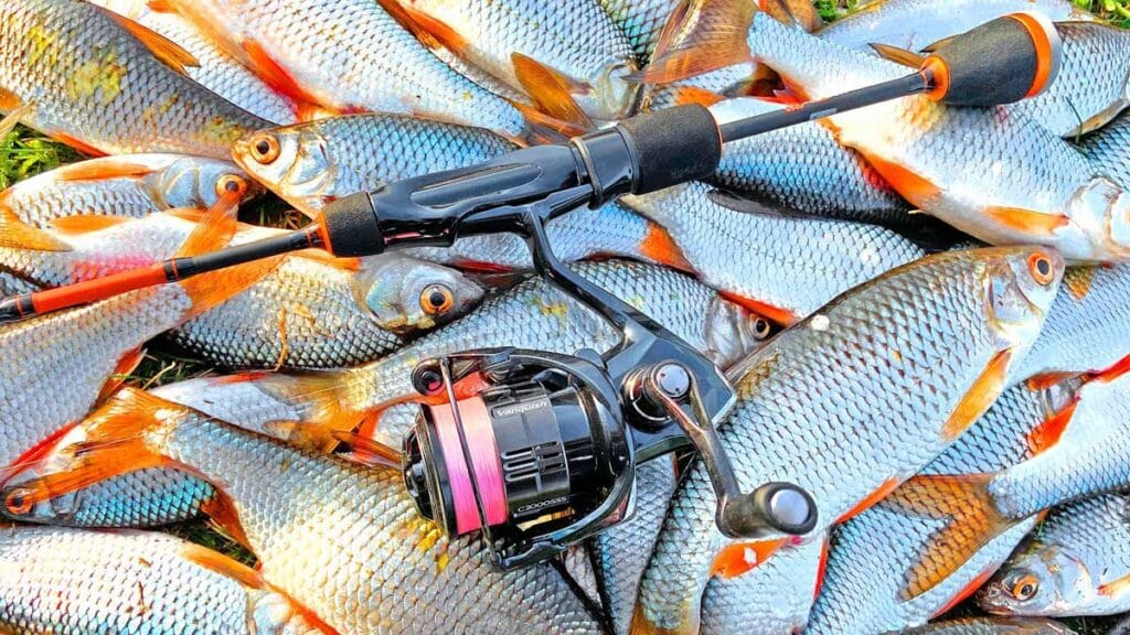 Лунный календарь рыбака на май 2025: лучшие дни