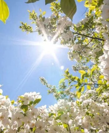 Погода в Україні - прогноз кльову риби з 21 по 27 квітня