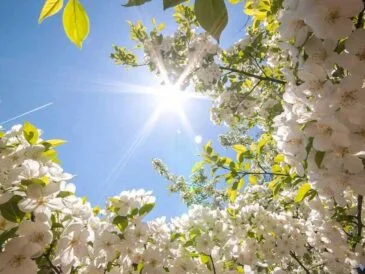 Погода в Україні - прогноз кльову риби з 21 по 27 квітня