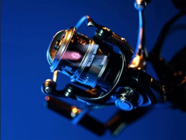 Нова Favorite Blue Bird: легше, міцніше, точніше – що змінилося?