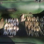 Новая Favorite Blue Bird: легче, прочнее, точнее — что изменилось?