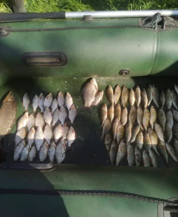 Браконьеры на озере Ялпуг нанесли ущерб на 188 тысяч гривен