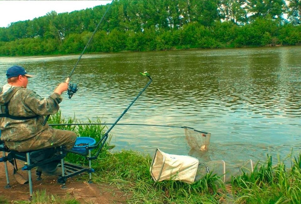 найкращі рецепти прикормки для фідера